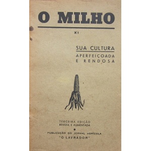 O MILHO