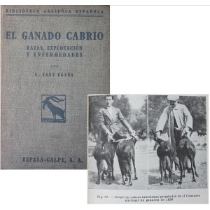 EGAÑA (C. SANZ) - EL GANADO CABRÍO