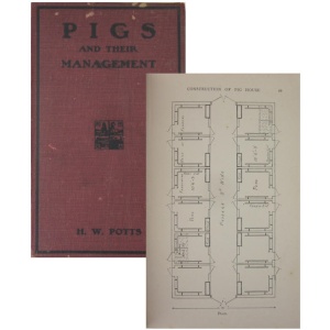 POTTS (H. W.) - PIGS AND THEIR MANAGEMENT