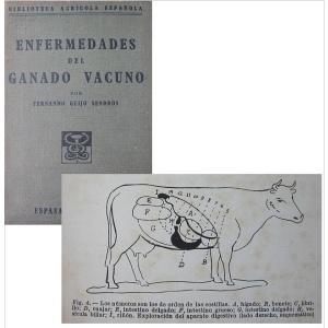 SENDRÓS (FERNANDO GUIJO) - ENFERMEDADES DEL GANADO VACUNO