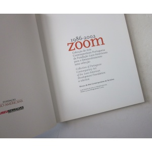 ZOOM 1986-2002 - Colecção de Arte Contemporânea Portuguesa da Fundação Luso-Americana para o desenvolvimento: Uma Selecção