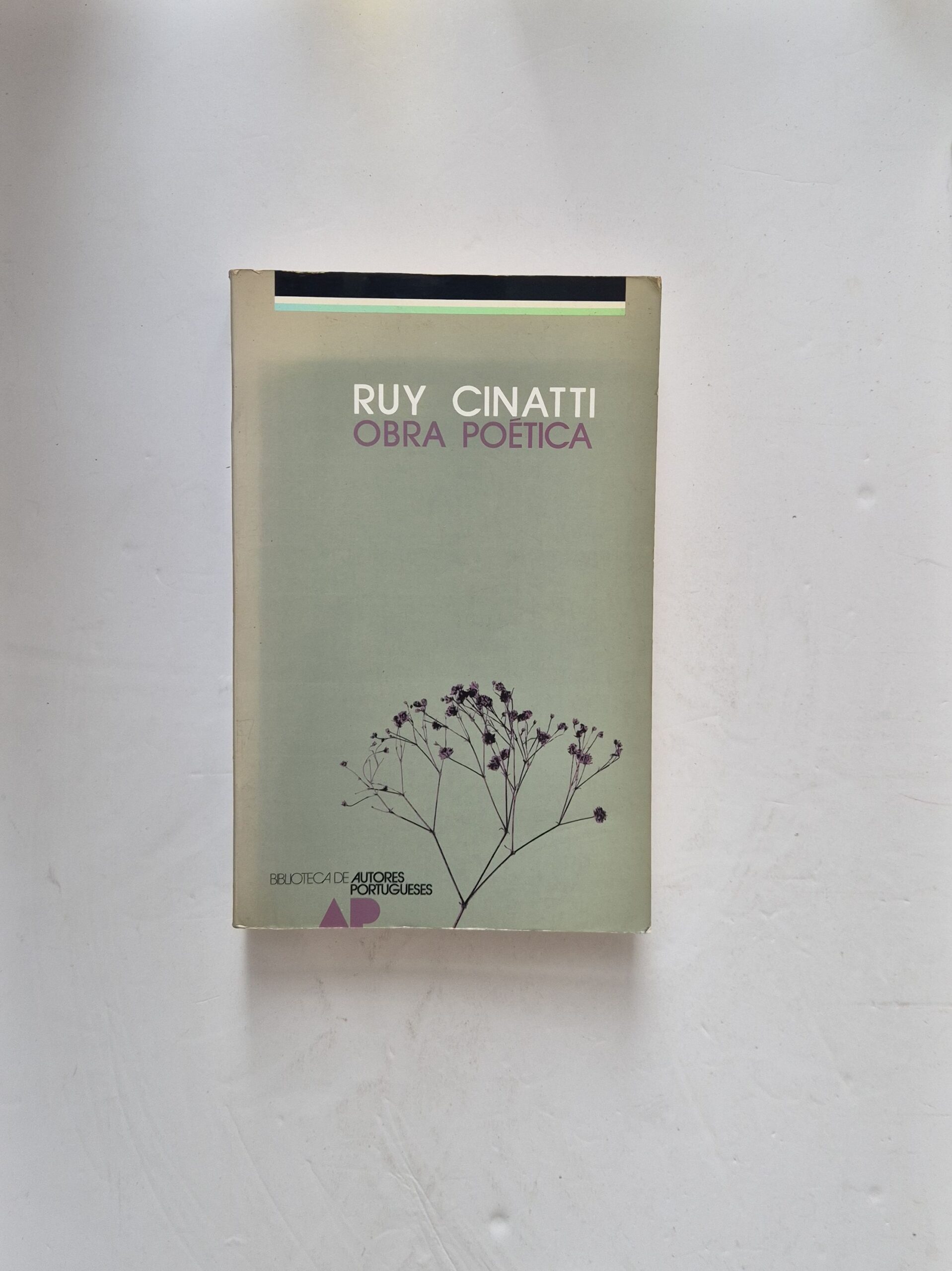 21238 CINATTI (RUY) - OBRA POÉTICA