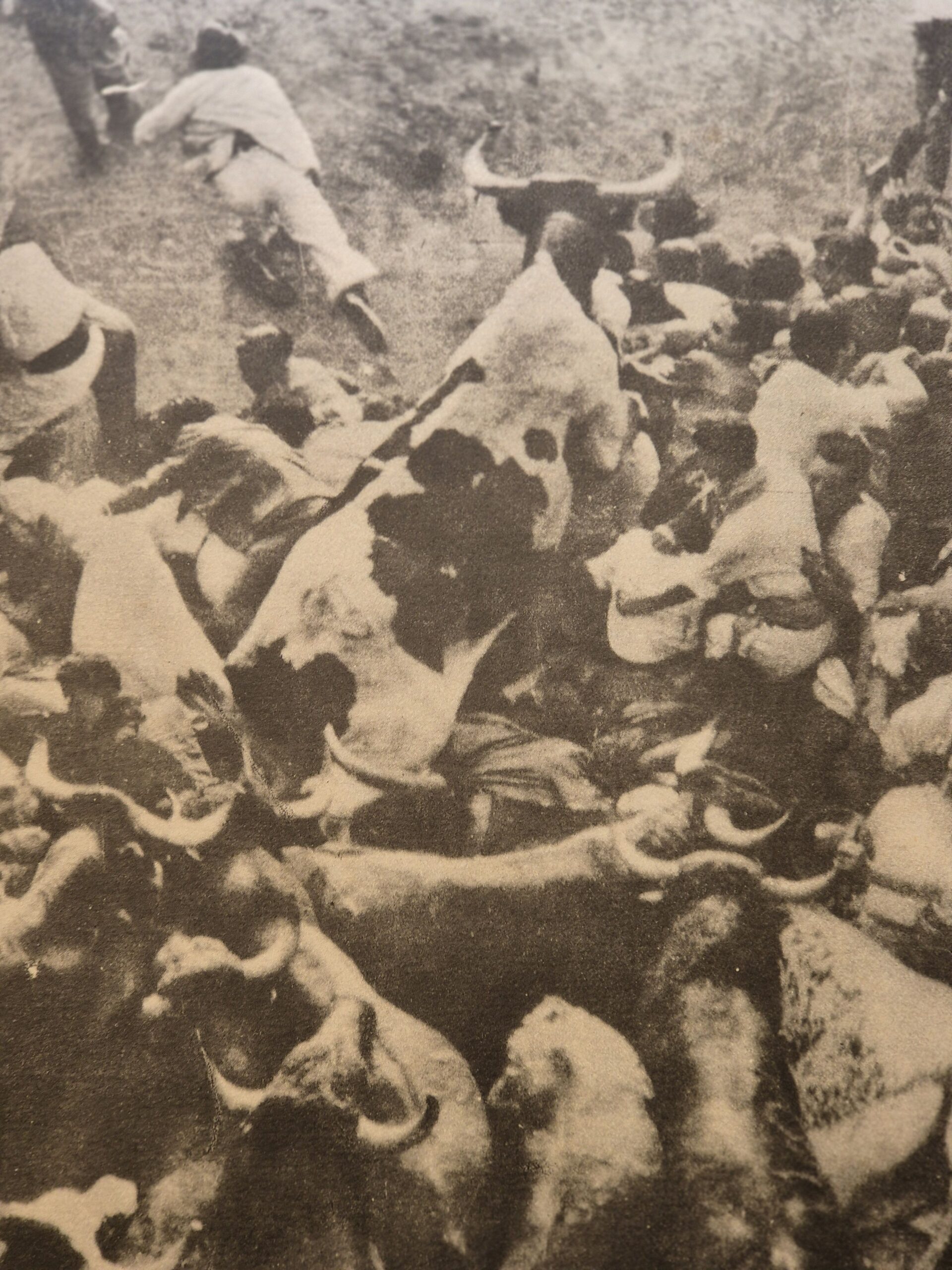15002 A LA FIESTA NACIONAL - LIBRO DE ORO DE LA TAUROMAQUIA