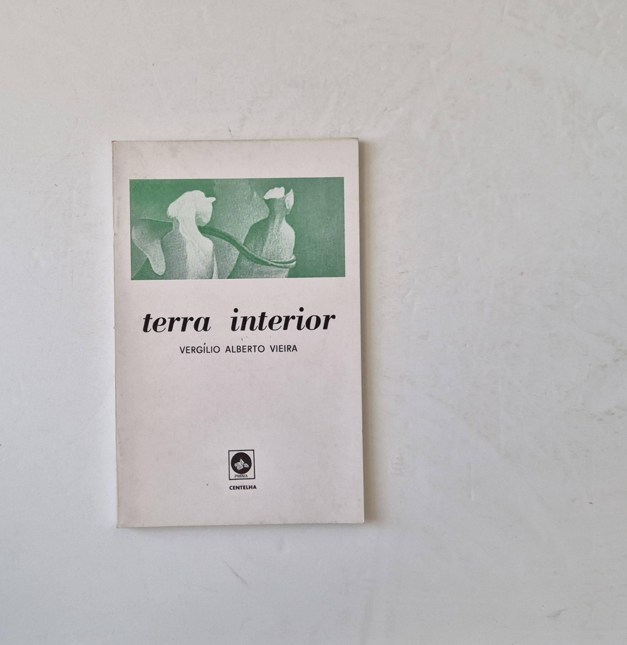 21450 VIEIRA (VERGÍLIO ALBERTO) - TERRA INTERIOR