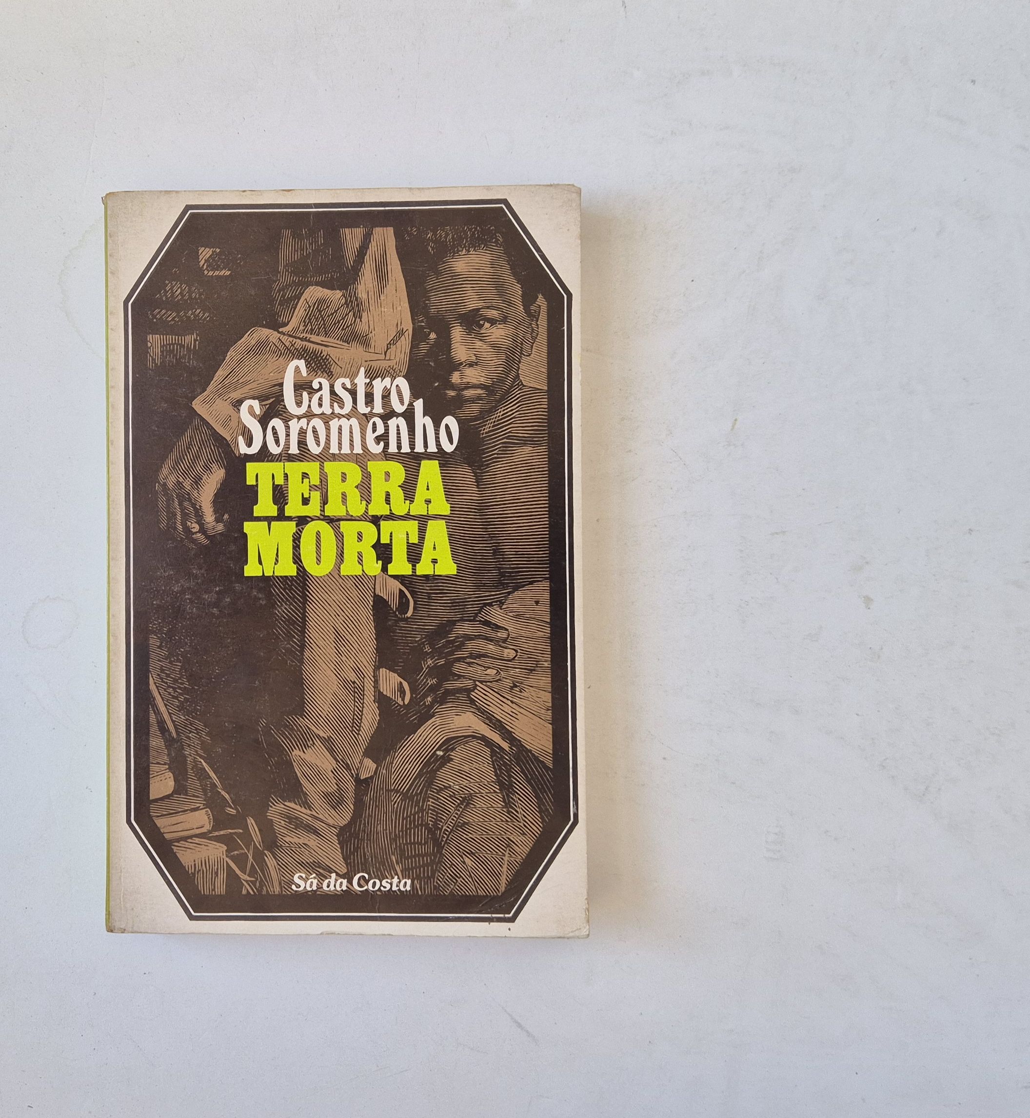21532 SOROMENHO (CASTRO) - TERRA MORTA